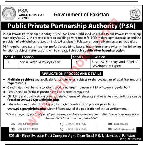 Private Public Patnership Authority Job 2025