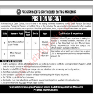 jobs in mes pakistan
