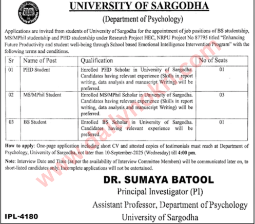 jobs university of sargodha